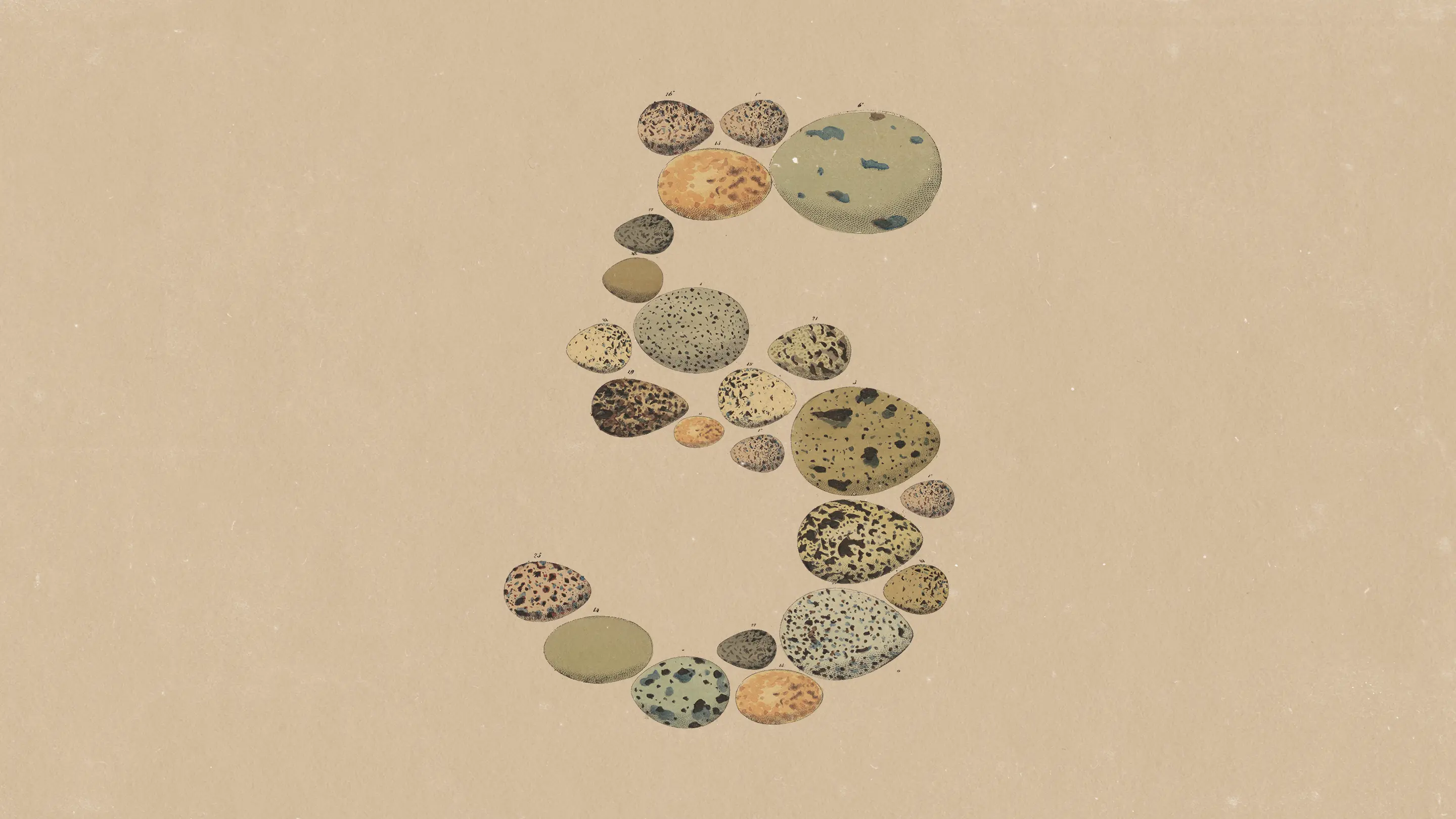 Anthropic 发布 Claude Opus 5，性能逼近 Fable 5 价格减半