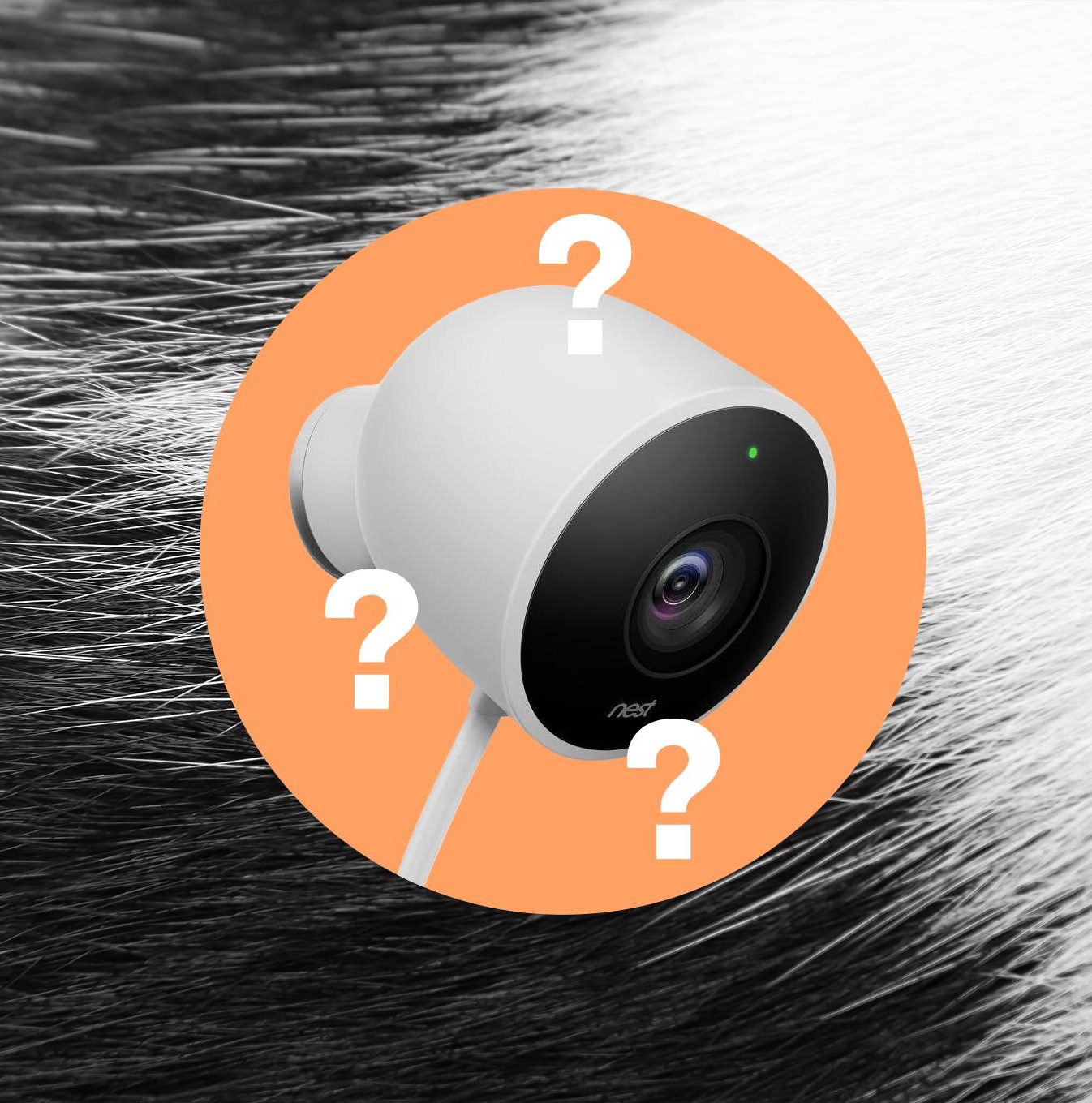 谷歌 Pet Memory 认错宠物，Nest 摄像头宠物识别失效