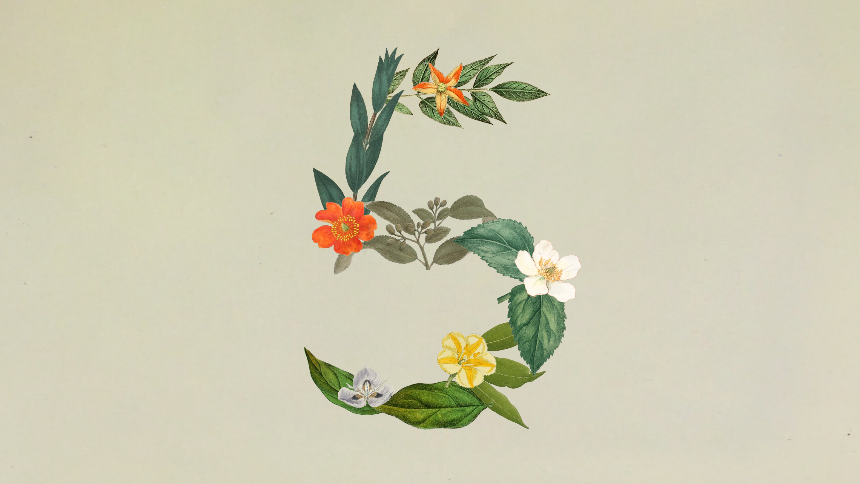 Claude Sonnet 5 发布：性能接近 Opus 4.8，定价更低