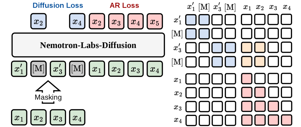 Nemotron-Labs-Diffusion: 一种统一自回归、扩散和自推测解码的三模式语言模型