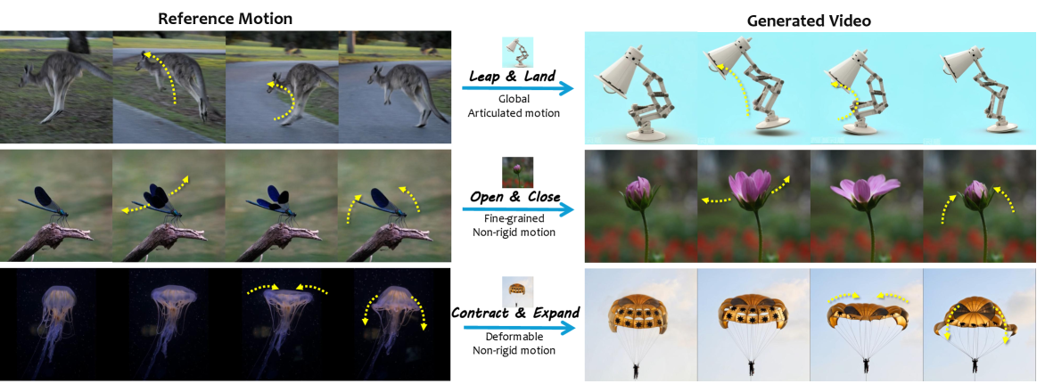Motion Beyond Morphology: 超越形态的运动——从抽象运动表示引导跨类别运动迁移