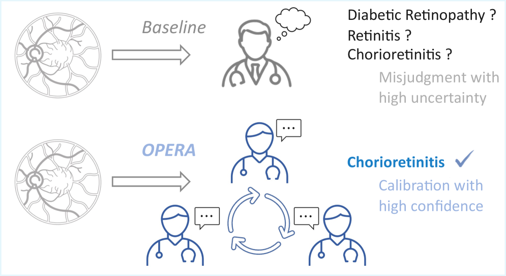 OPERA: Offline Policy-guided Expert Routing and Adaptation for Universal Biomedical Image Analysis