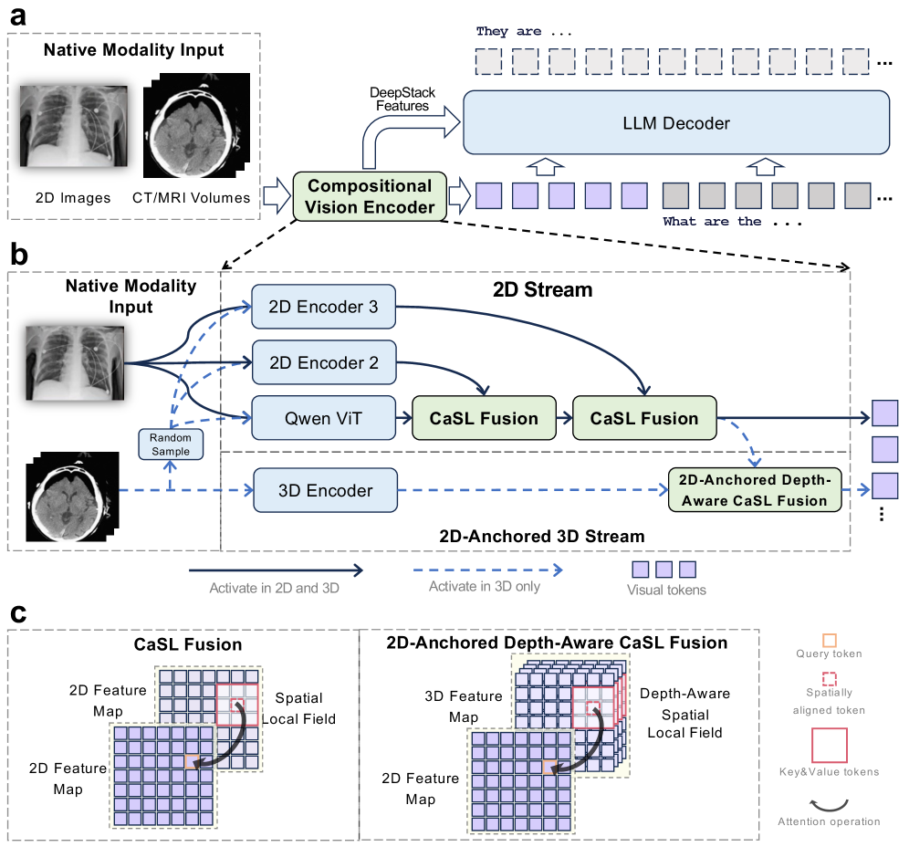 ClinFusion: 一种以视觉为中心的多模态大语言模型系统，用于全面医学理解