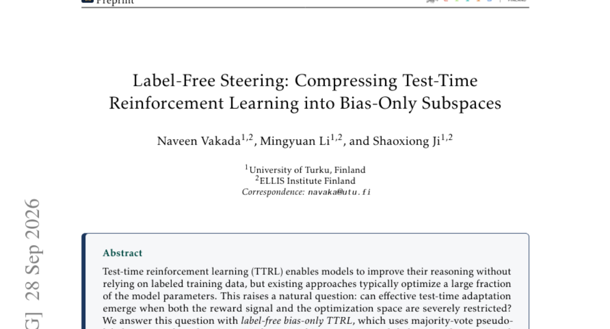 Label-free steering: Compressing test-time reinforcement learning into bias-only subspaces