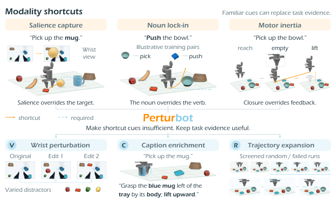 PerturBot: 用扰动训练打破视觉-语言-动作模型中的捷径先验