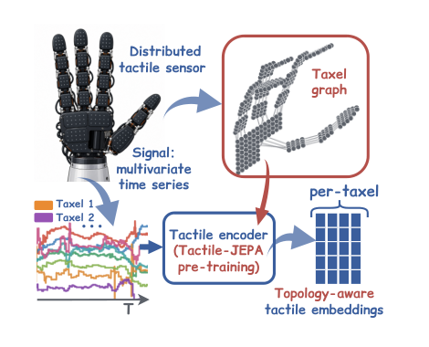 Tactile-JEPA:面向分布式触觉传感器的拓扑感知自监督表示学习