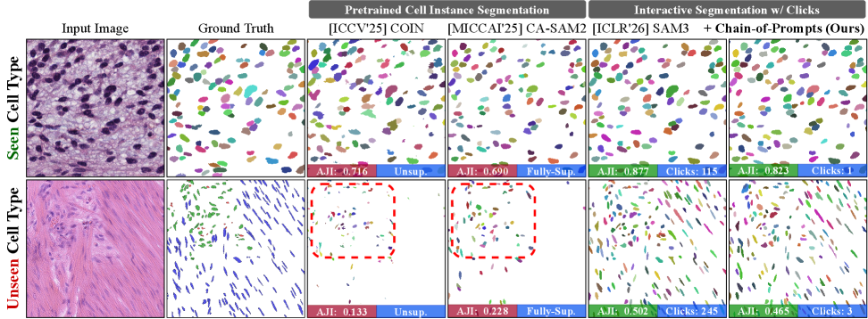 每个细胞类型一次点击足矣：无需训练的Group Interaction用于Cell Instance Segmentation