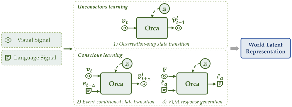 Orca: 世界在你心中