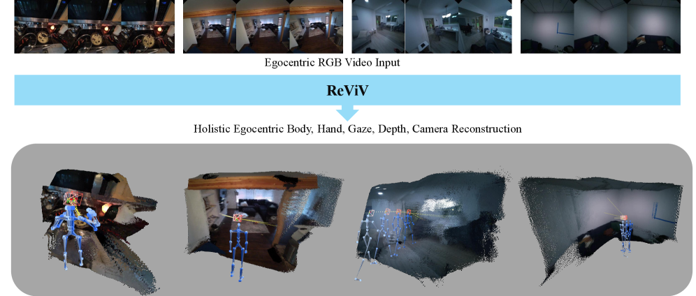 ReViV: 从单目自我中心视频重建4D中的观察者和视图