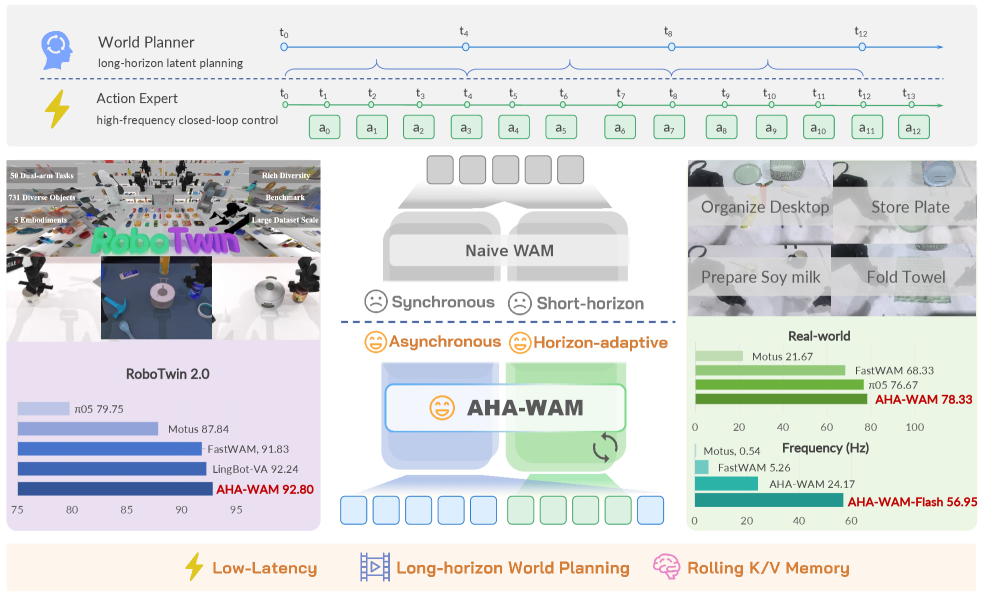 AHA-WAM: 异步视界自适应世界-动作建模与观测引导上下文路由