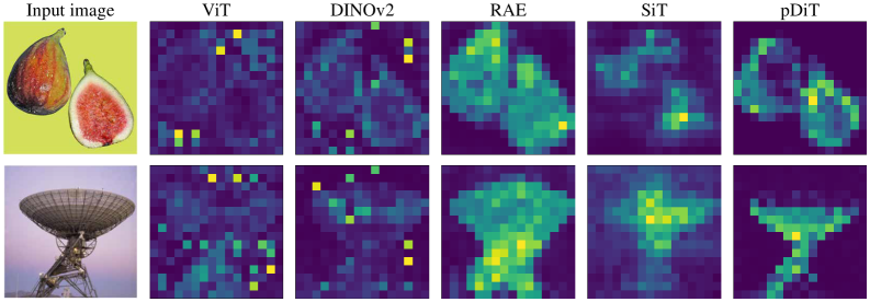 Registers Matter for Pixel-Space Diffusion Transformers