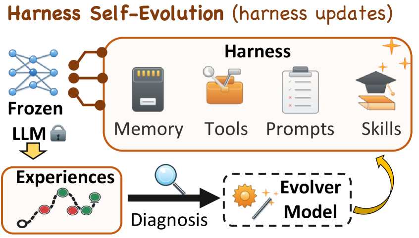 Harness Updating 并非 Harness Benefit:自进化 LLM Agent 中进化能力的解耦