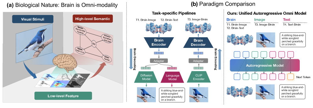 BrainJanus: 跨脑、视觉与语言的理解与生成的统一模型