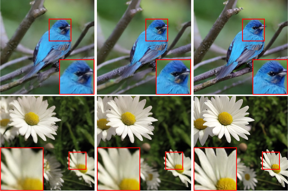 A Frozen Pixel-Space Diffusion Model Can Guide Itself with Its Own Samples