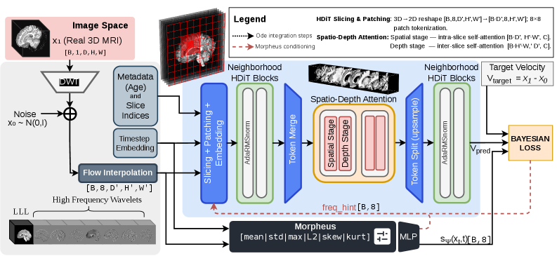 WaveDiT: 分布感知的小波流匹配用于高效3D脑MRI合成