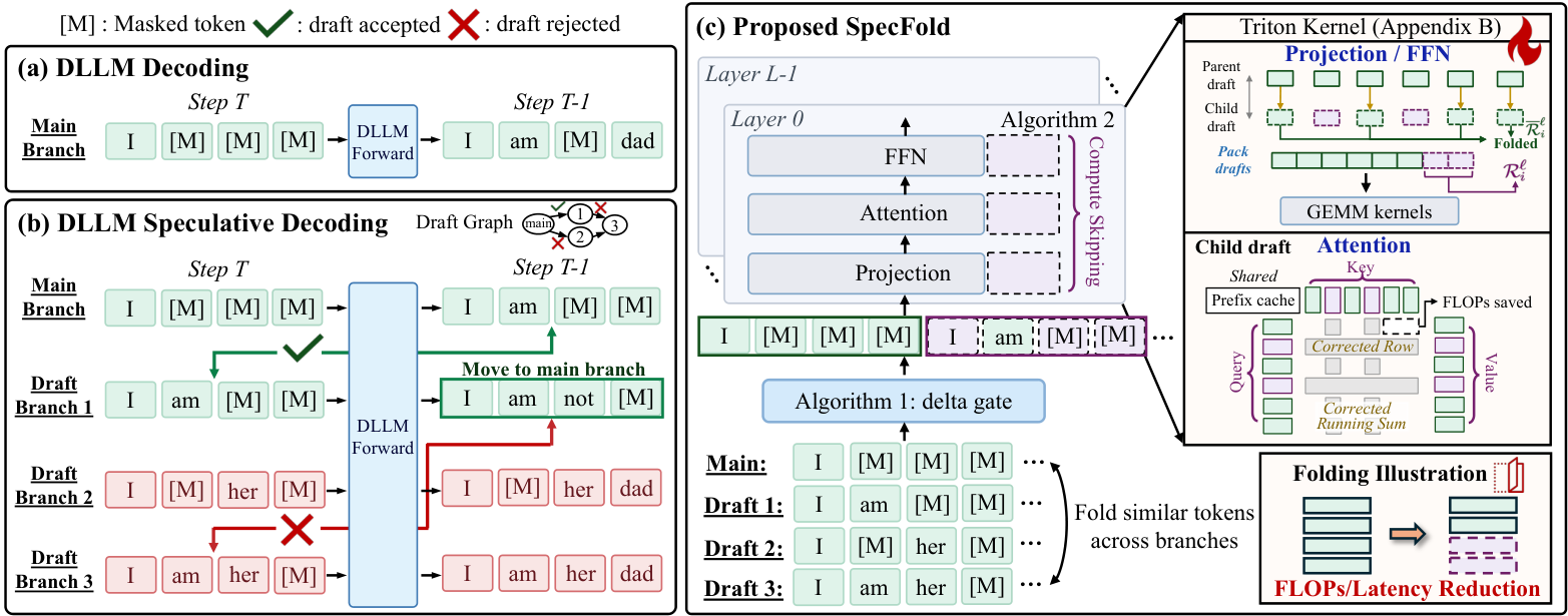 SpecFold:为扩散语言模型更快投机解码折叠多分支冗余