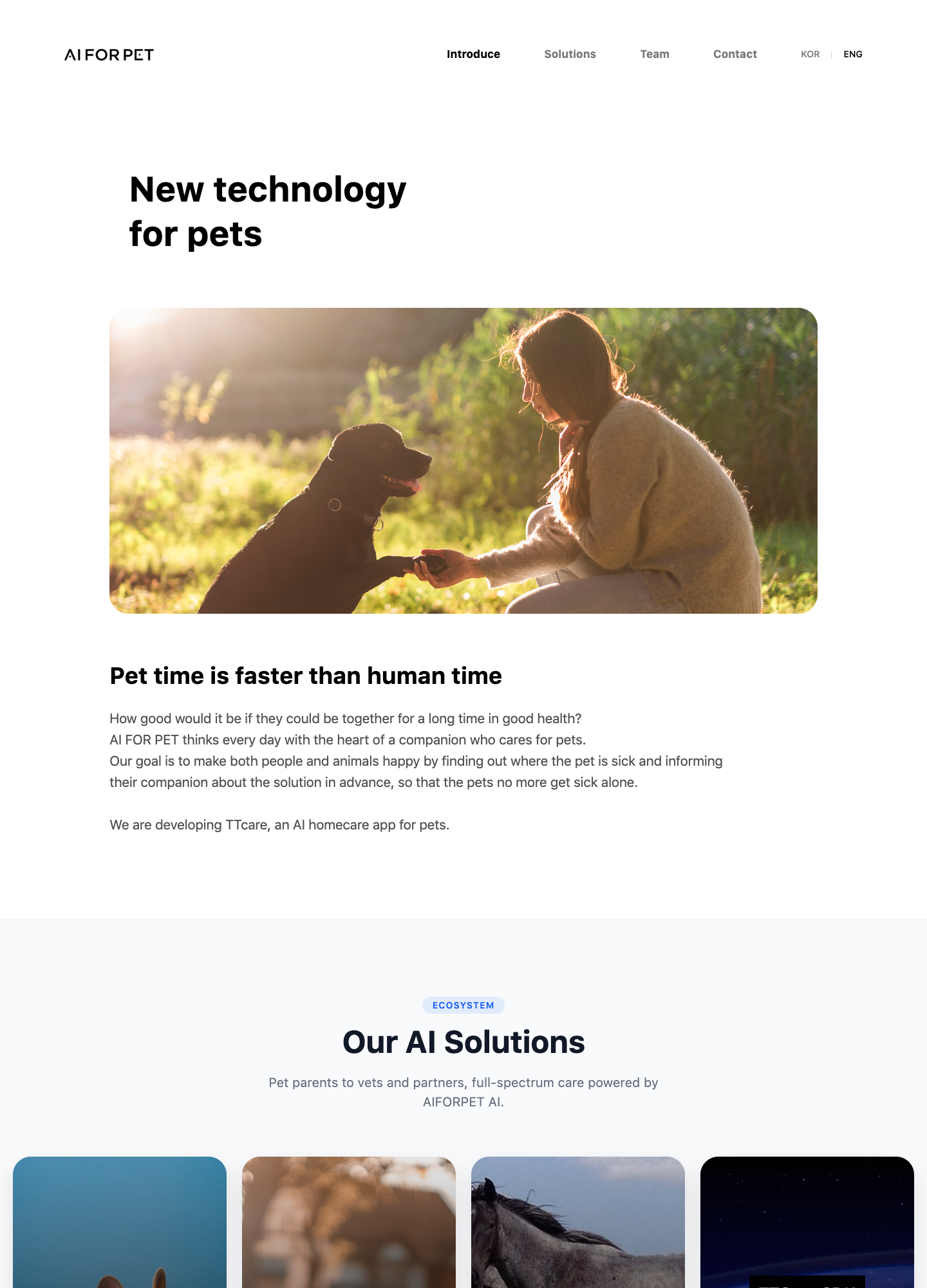 AIFORPET