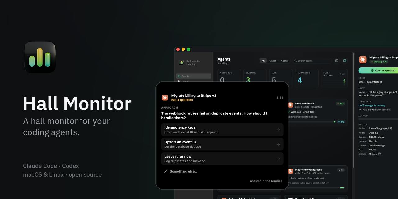 Hallmonitor