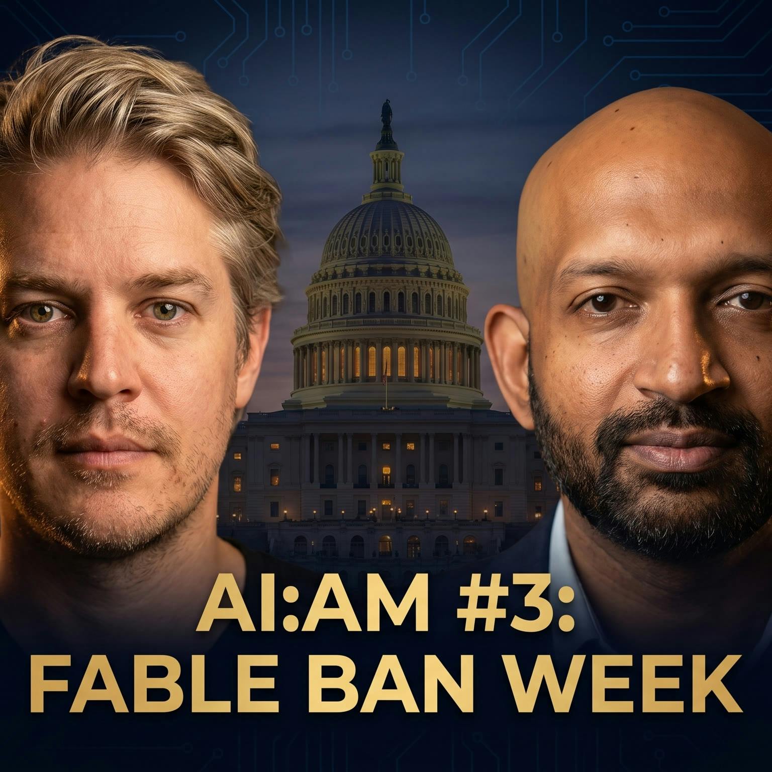 AI:AM 3: Zvi on Fable, the Cases For & Against the Ban, + AI for Math, Logistics & More