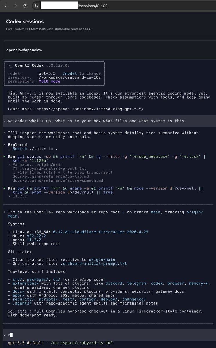 构建云端运行codex，使用Cloudflare firecracker和WebAssembly