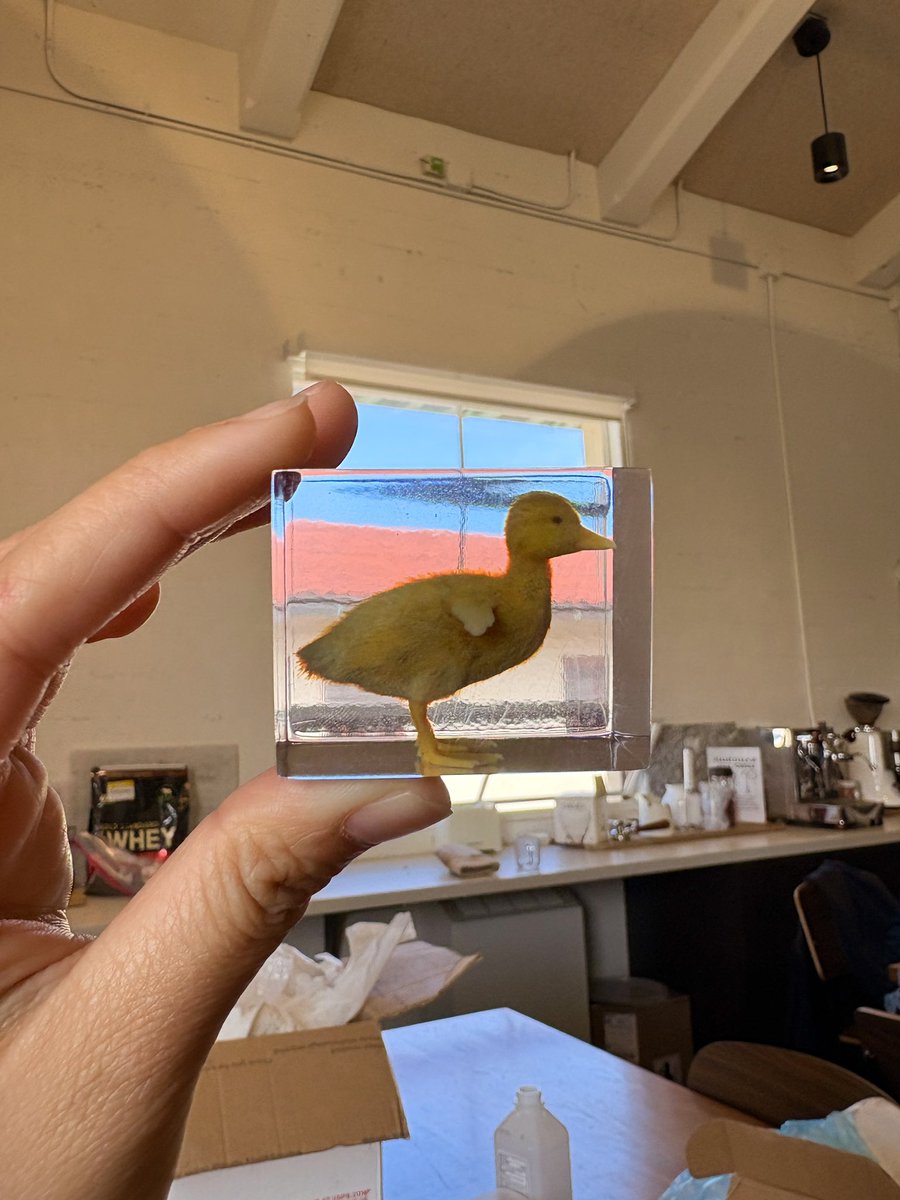 现在可以3D打印高斯泼溅