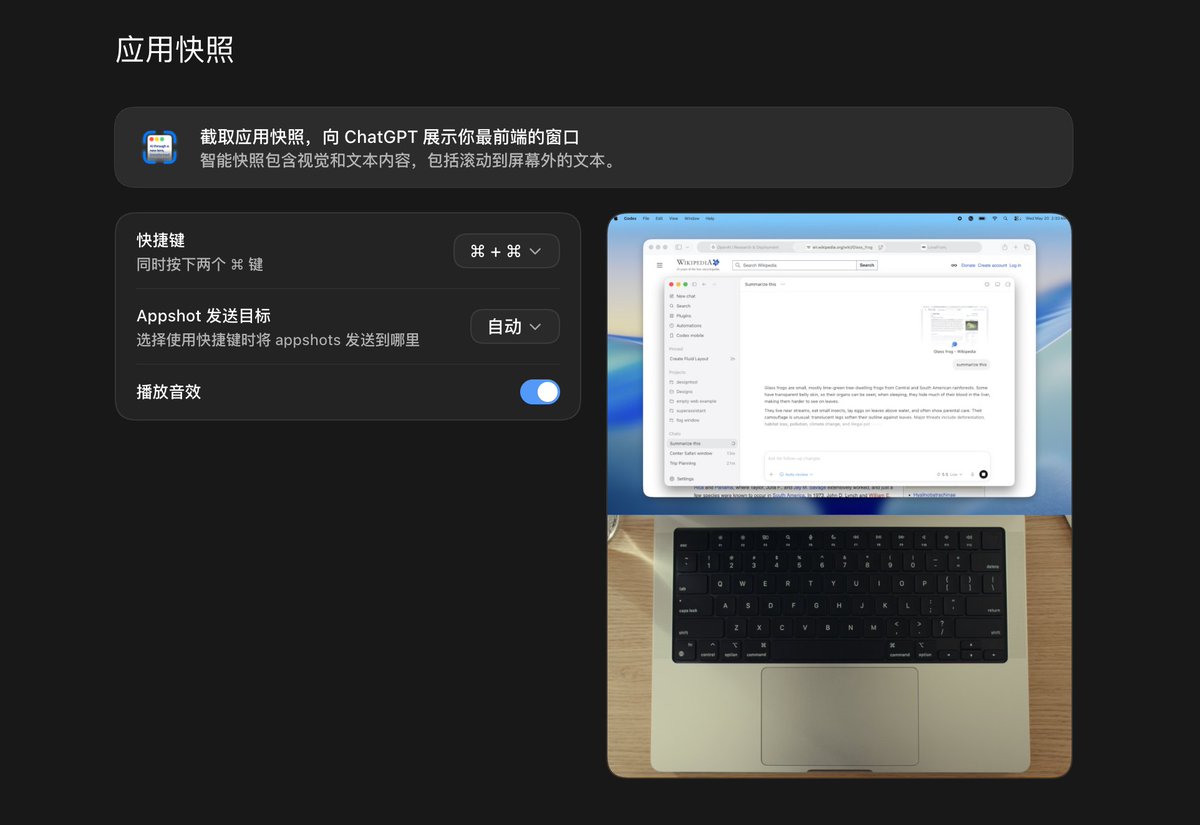 Codex 推出新功能 Appshots，可直接将应用窗口加入对话继续工作。