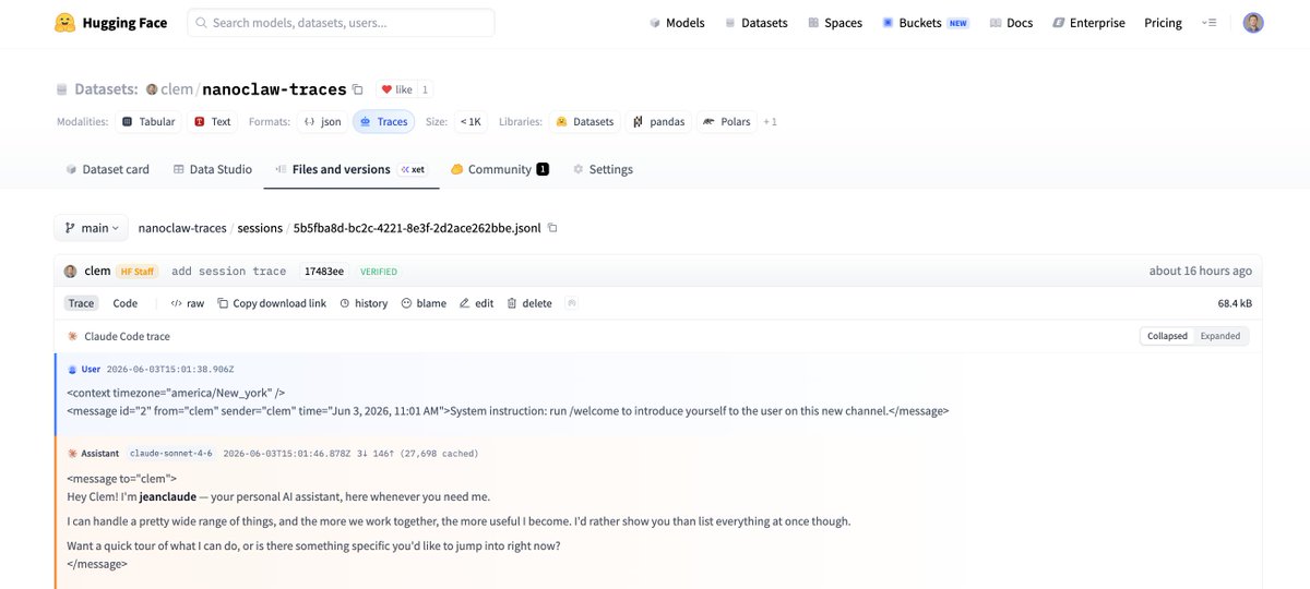 分享将agent trace存储到Hugging Face的体验，强调默认私有存储的重要性