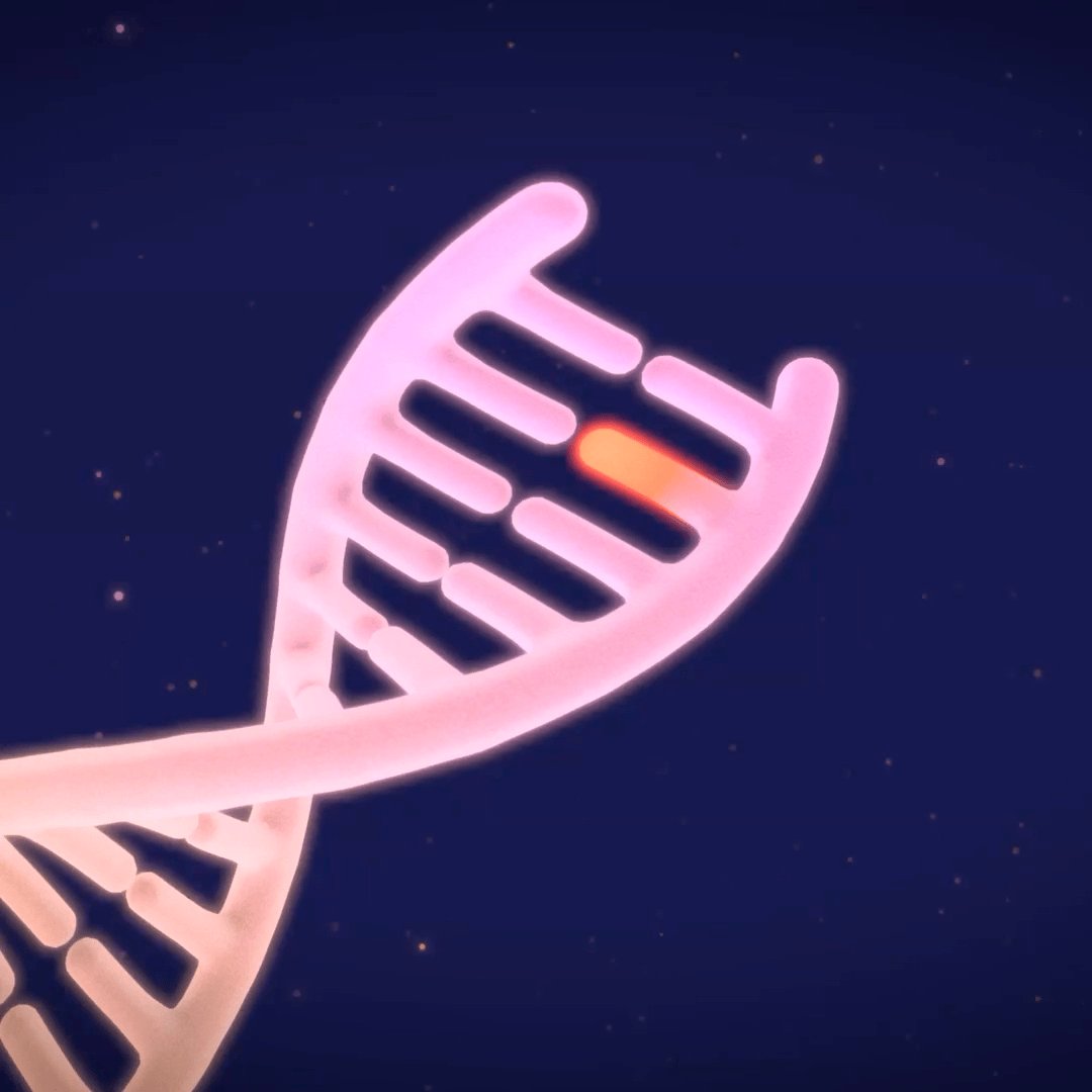 DeepMind 的 AlphaGenome Atlas 被用于识别致病 DNA 变异