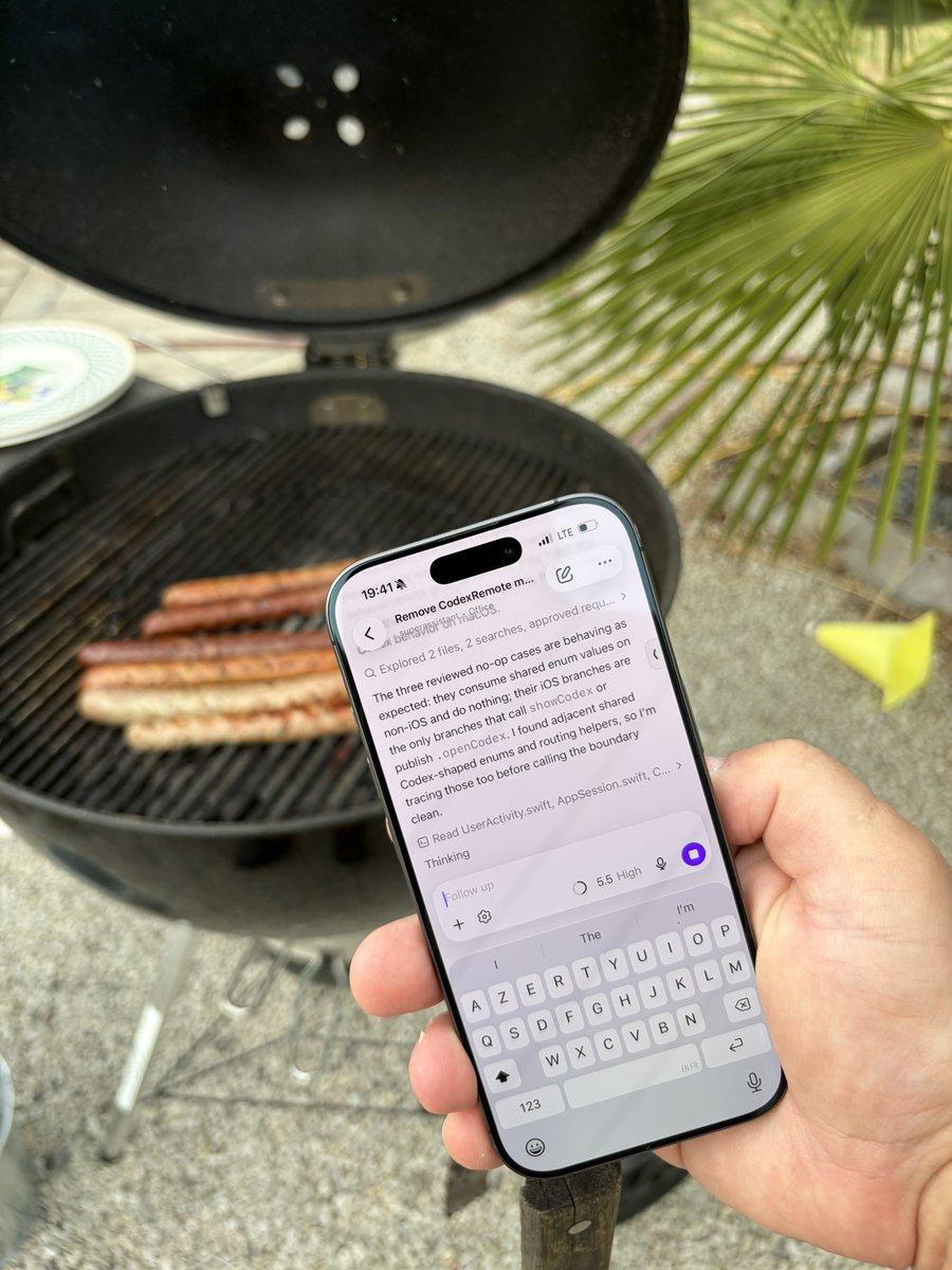 主推提到Codex和grilling