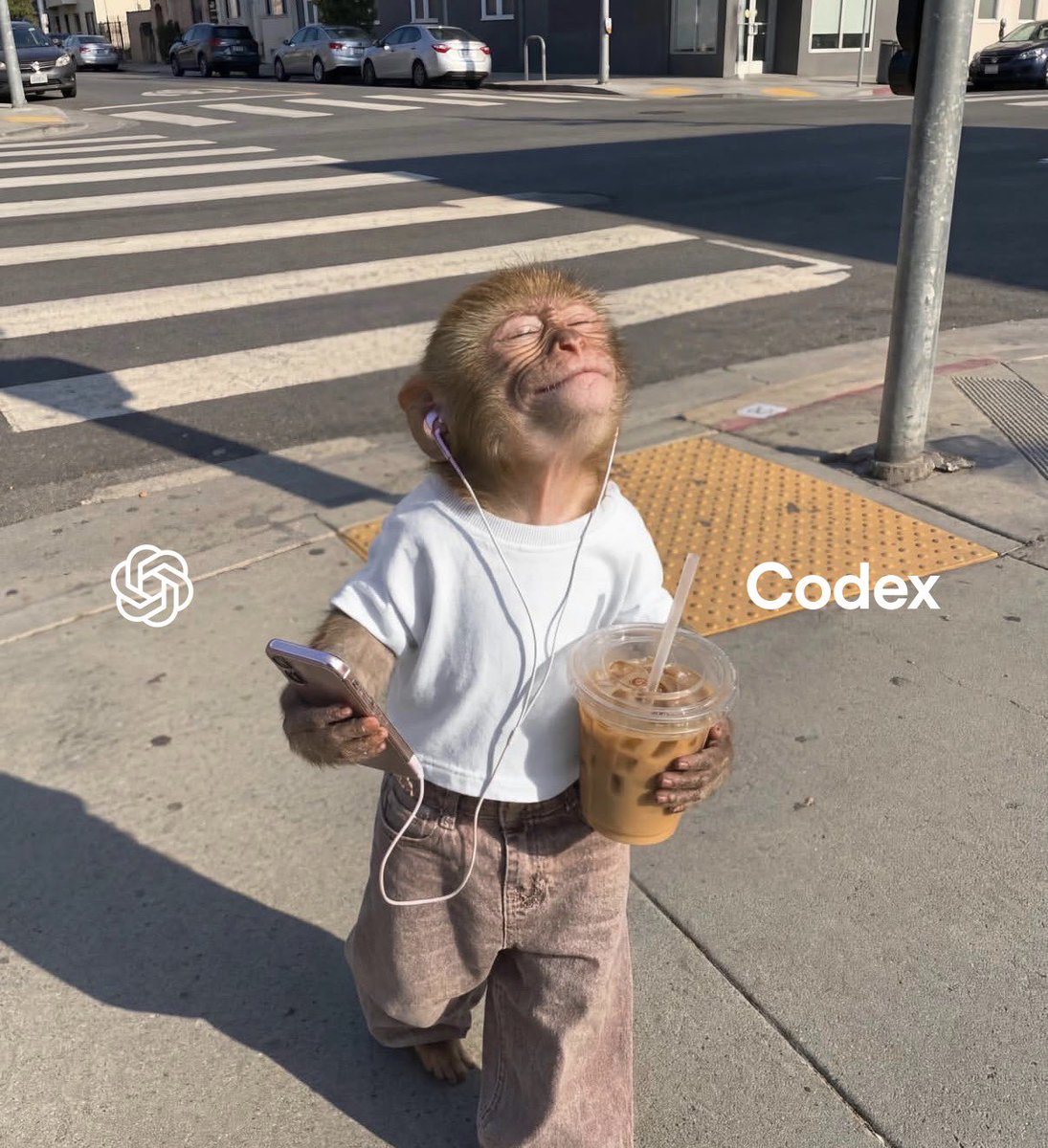 询问用户对Codex Voice的看法