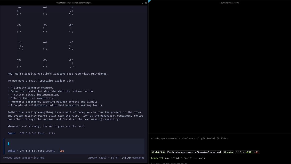 terminal-control让机器人连接并控制交互式TUI，支持MCP服务器