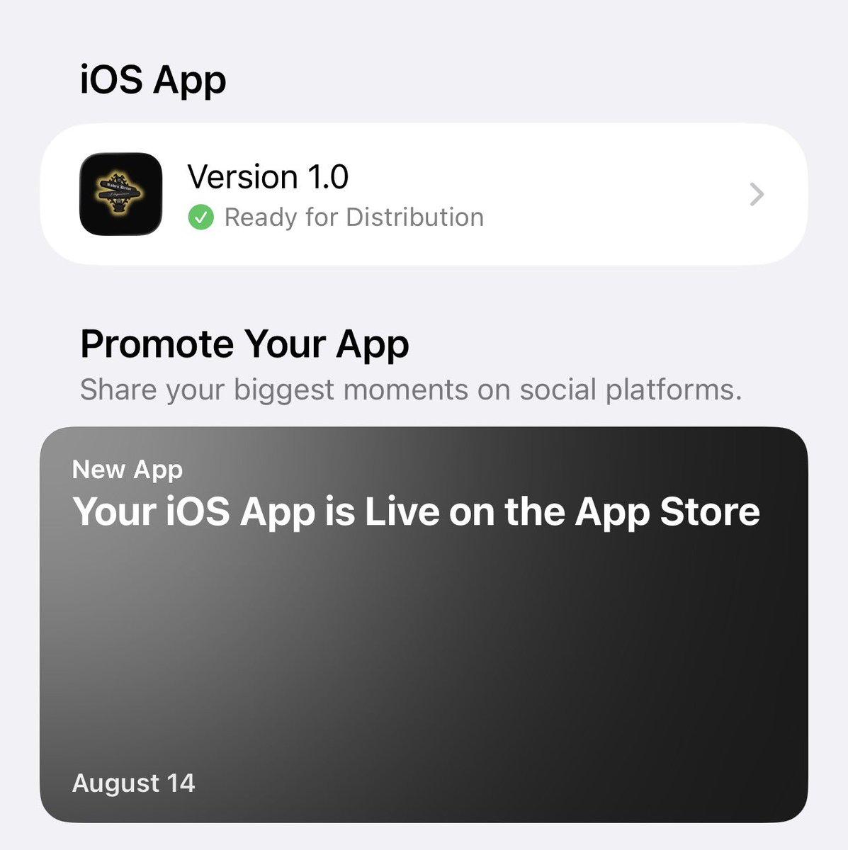 Replit 助力的应用已在 App Store 上线
