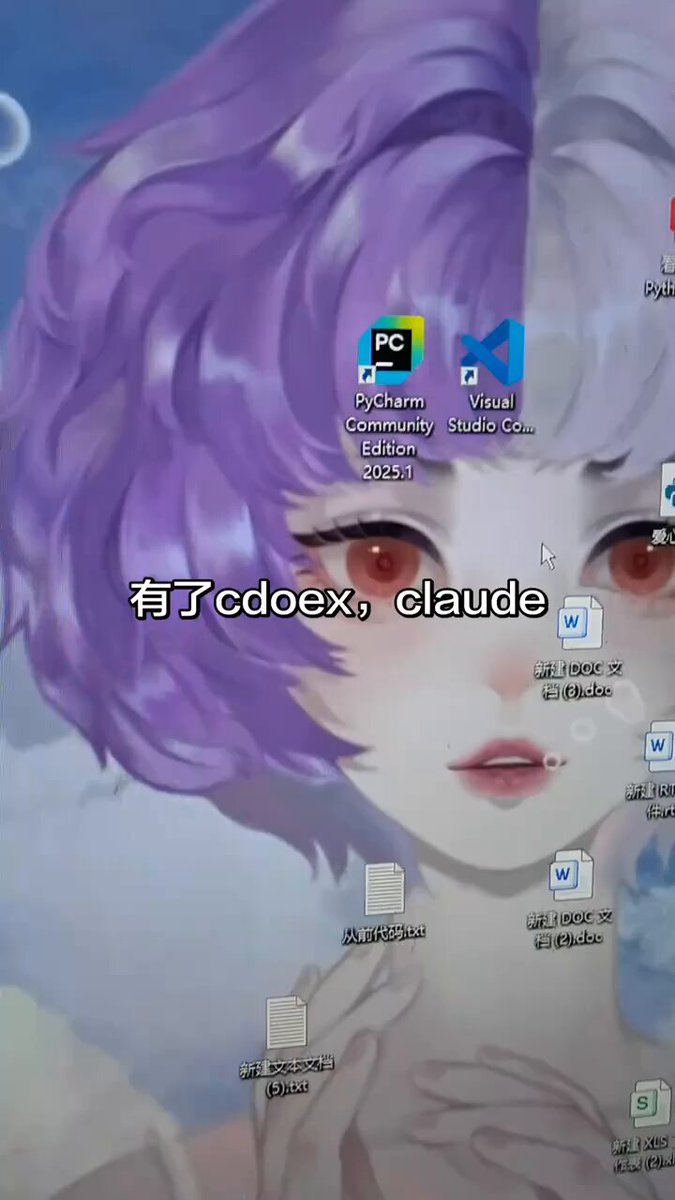 自从使用codex和claude后的变化
